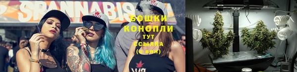 дурь Володарск