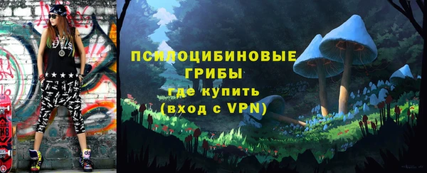 спиды Вязьма