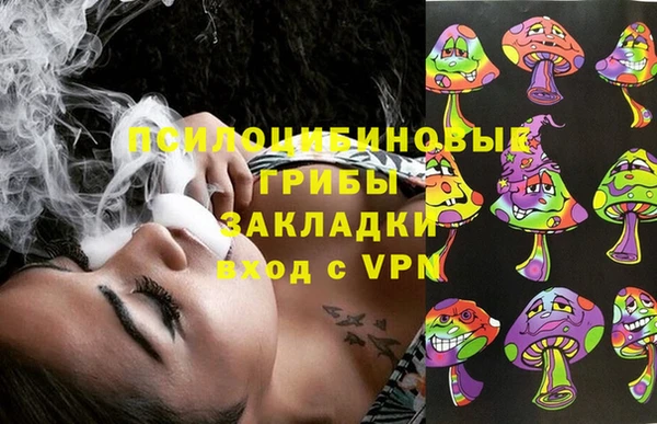 таблы Вяземский