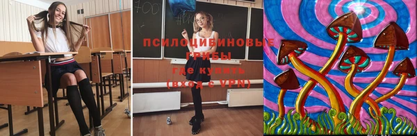 дурь Володарск